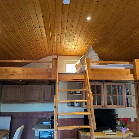 Ferienwohnung, Tiny House, Weisseritztaeler, Wandern & Radfahren * Klingenberg